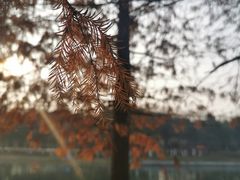 -滨湖塘西河公园