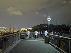 -金鸡山公园