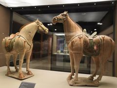 -西安大唐西市博物馆