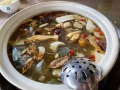 -杨记山珍鸡煲菌汤锅