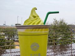 -雪绿茶博物馆