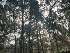 -香山公园