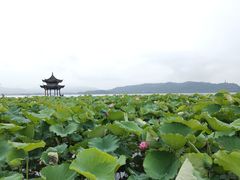 -西湖游船