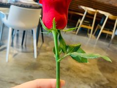 -at cafe 意大利餐厅(集美店)