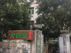 -大自然素食(望桐路店)