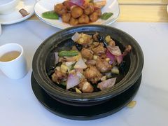 -鸽小宝(深圳首店)