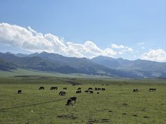 -新疆那拉提国家旅游度假区