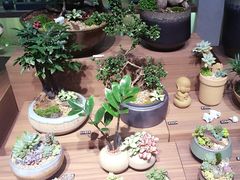 -方所(华润万象城店)