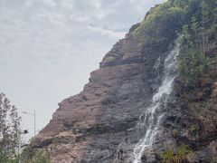 -雅苑中餐厅