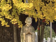-峨眉山报国寺