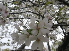 -新江湾城公园
