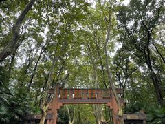 -灵谷景区