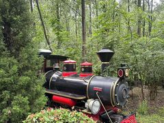 -合肥滨湖国家森林公园