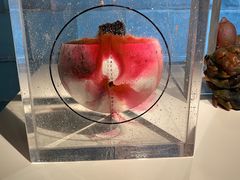 -上海琉璃艺术博物馆