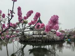 -无锡蠡湖国家湿地公园-蠡园