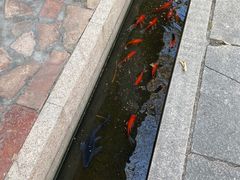 -伦教678文化街