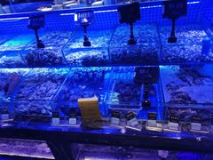 -渔民船说·北塘海鲜·天津菜·海肠捞饭(北塘古镇店)