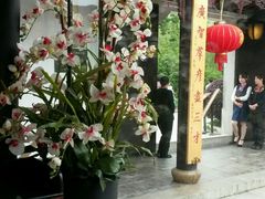 -碧丽宫大酒店(召稼楼店)