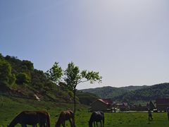 -关山草原