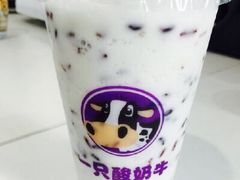 -一只酸奶牛(来福士店)
