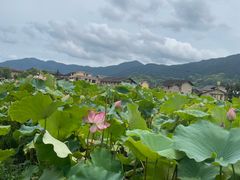 -福建土楼(南靖)景区