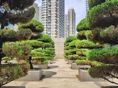 -烟台金沙滩喜来登度假酒店