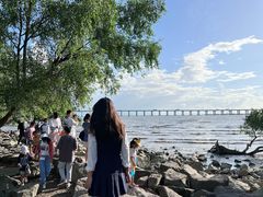 -宝安西湾红树林湿地公园