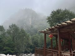 -青峰峡国家森林公园