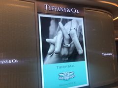 -Tiffany & Co.蒂芙尼
(天津万象城店)