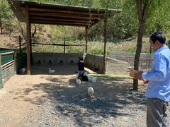 -西部长青自然儿童乐园