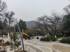-杭州少年儿童公园