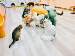 -BABIT巴比特宠物(MOMOPARK店)