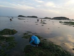 -棒棰岛宾馆景区