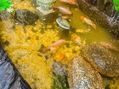 -钱塘府海鲜餐厅