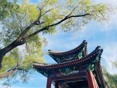 -颐和园