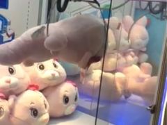 -汤姆熊欢乐世界(滨江店)