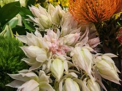 -爱尚幸福鲜花(上地实体店)