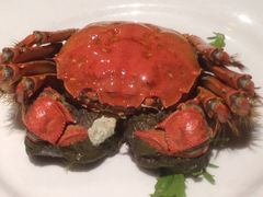 芳满庭海派菜1912店-芳满庭·江浙小馆(1912店)
