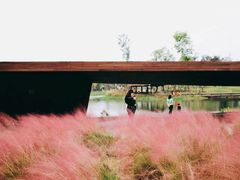 -三圣花乡旅游区