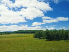 -塞罕坝国家级自然保护区