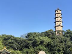 -江心屿景区