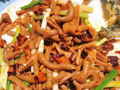 -华盛园卷子王农家菜水库鱼