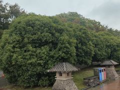 -南京市江宁方山