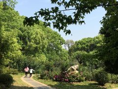 -东湖落雁景区