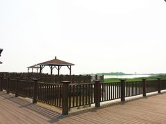 -新木器时代餐厅(太湖新天地店)