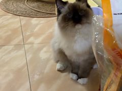 -美联众合爱康动物医院•复杂内科•肿瘤科•牙科•腔镜诊疗中心