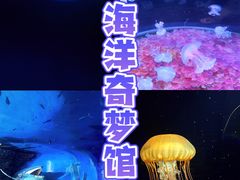 -欢乐海岸海洋奇梦馆