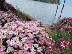 -大理洱海