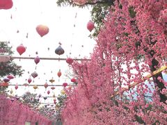 -北京凤凰岭