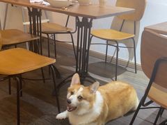 -肥朵食堂(带梦胡同店)